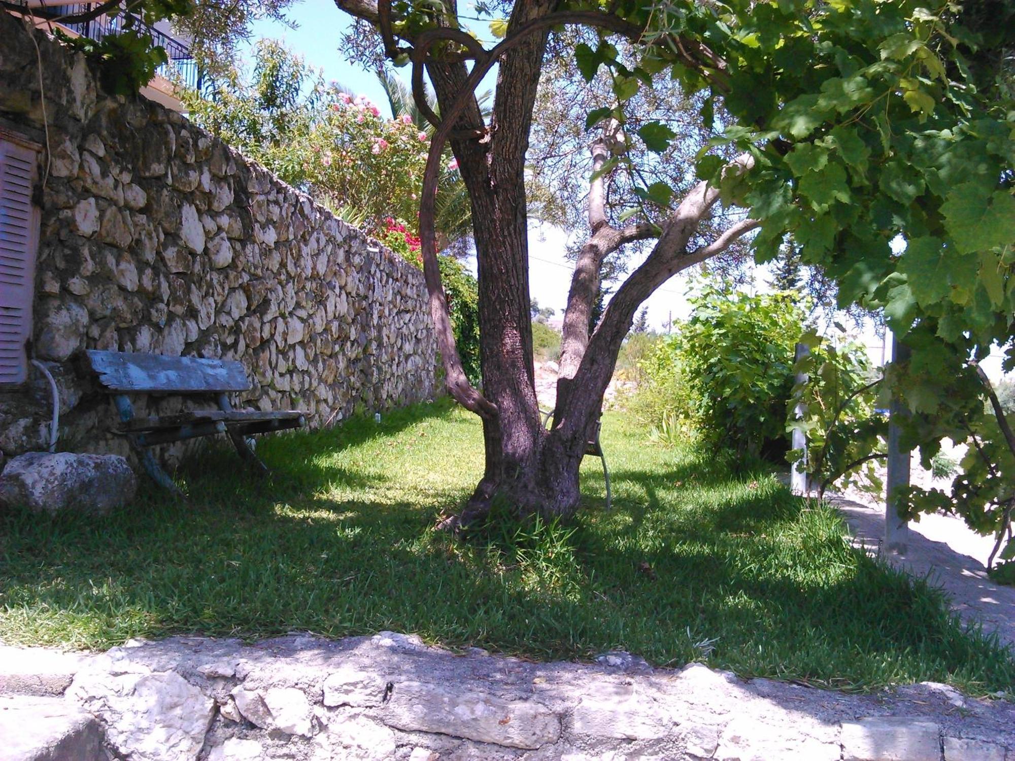 Pansion Laertes Apartamento Tsoukaládhes Exterior foto